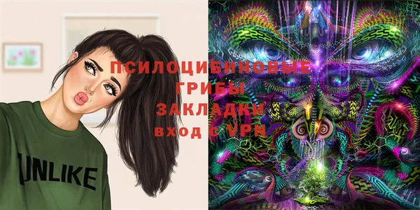 хмурый Гусев