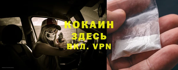 дурь Гусиноозёрск