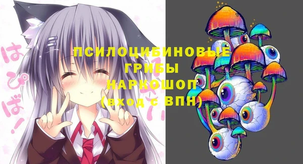 дурь Гусиноозёрск