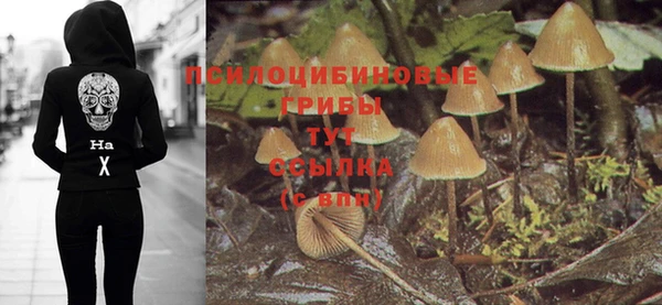героин Гусь-Хрустальный