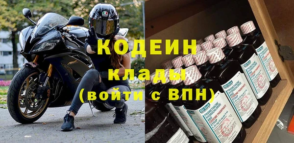 хмурый Гусев