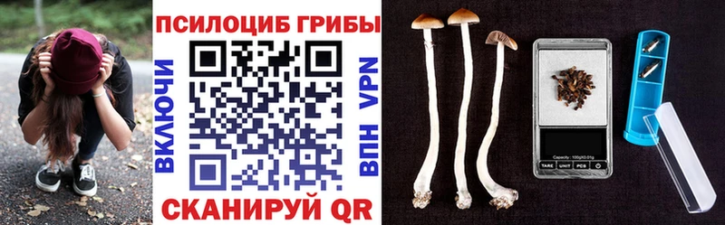 Псилоцибиновые грибы мухоморы  наркотики  Гудермес 
