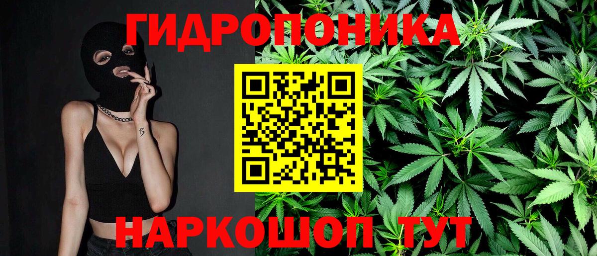 Канабис VHQ  Бошки марихуана White Widow  Марихуана конопля  Вход с VPN  Гудермес 